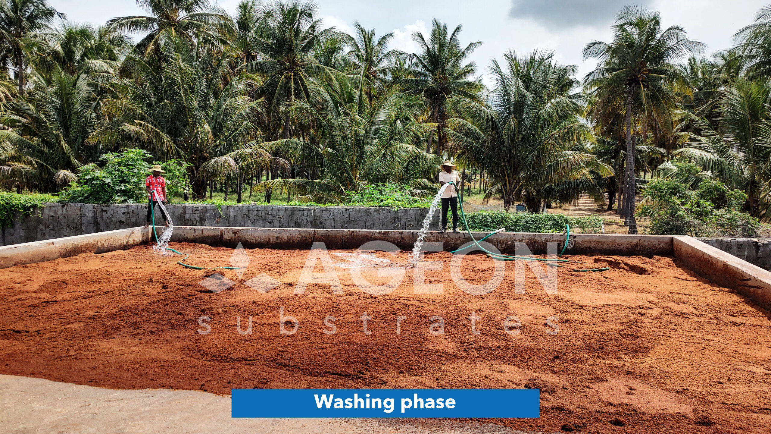 Washing phase_AgeonSubstrates