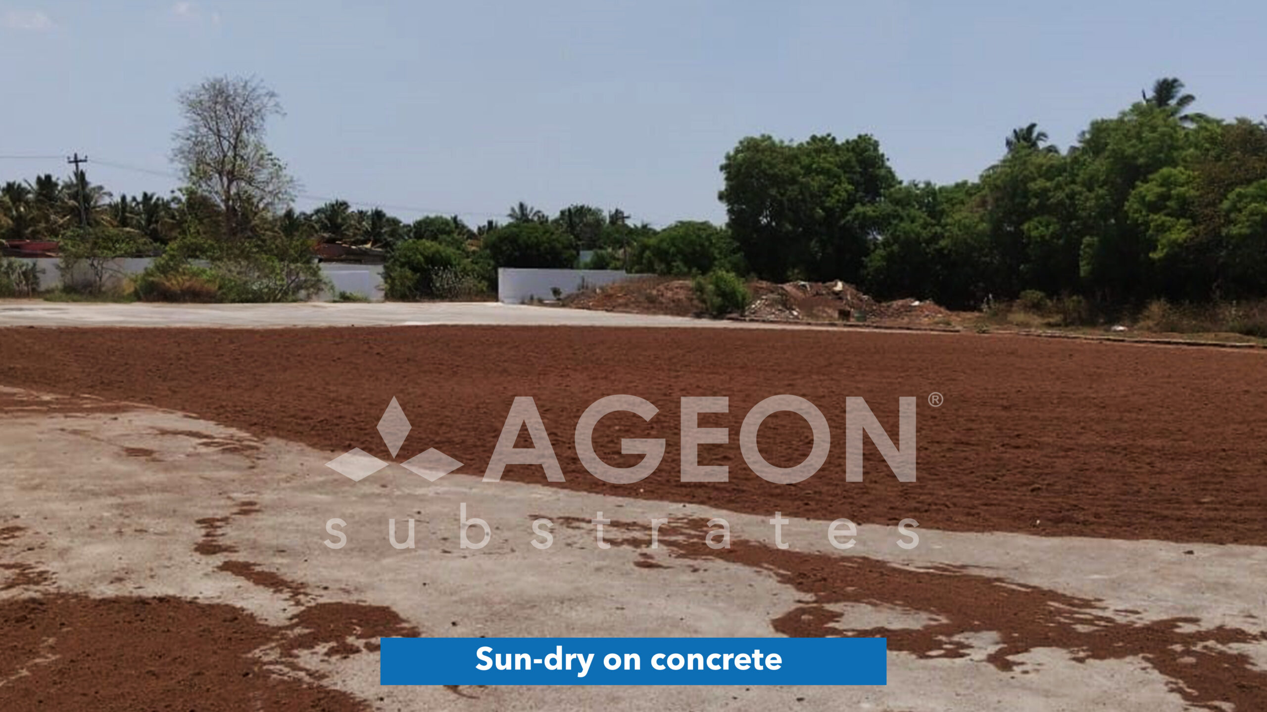 Sun-dry on concrete_AgeonSubstrates