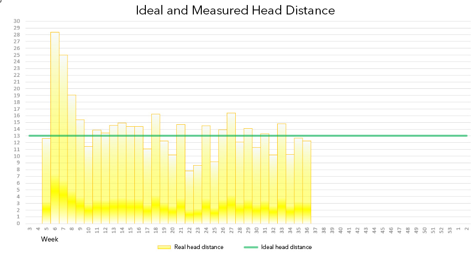 Fig. 5.b - Updated Head Distance Chart